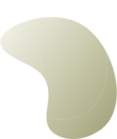 https://hasiad.org/wp-content/uploads/2020/08/floating_image_08.png